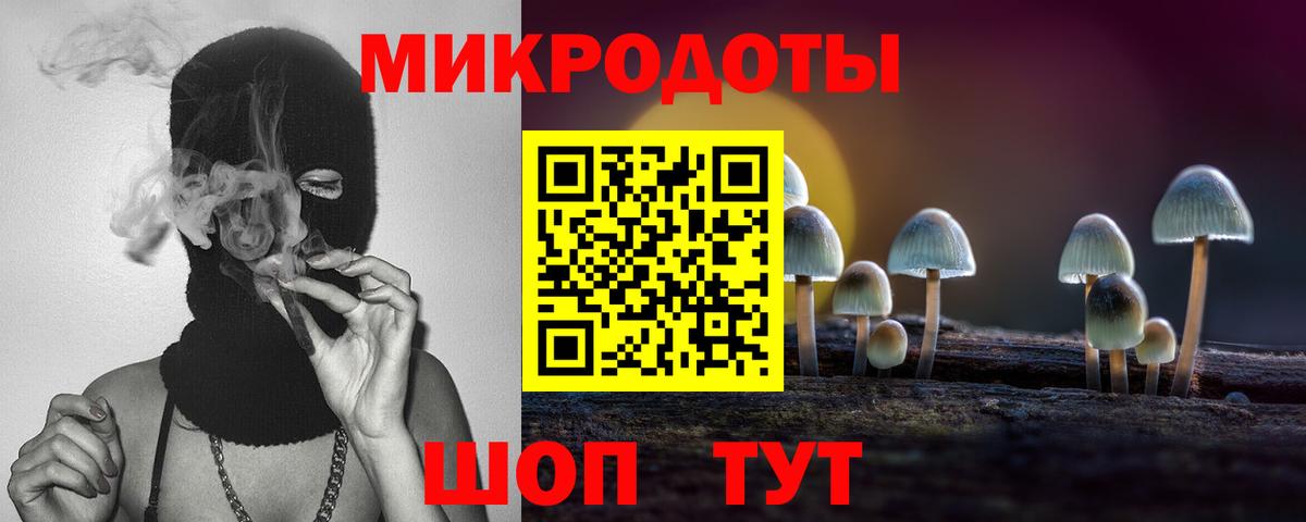 Галлюциногенные грибы прущие грибы Каспийск